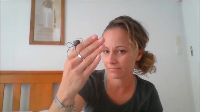 Это невероятно - дружба с опасными животными! смотреть онлайн