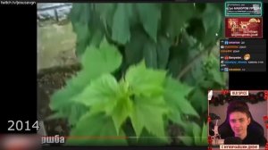 PATRICK MUSIC ПЫТАЕТСЯ ЗАБАНИТЬ ХЕСУСА МЕМАМИ | Эволюция Интернет Мемов 2005-2022 | РЕАКЦИЯ