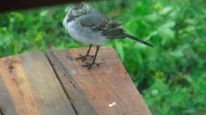 ⭕️ ЗАБОР НЕ КАК У ВСЕХ - Изготовление бетонных столбиков