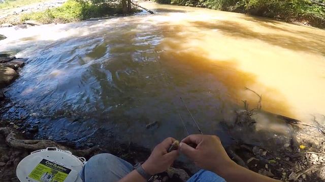 Gulp Alive minnows in muddy river смотреть онлайн