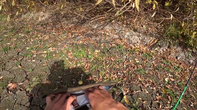 Рыбалка на ЩУКУ. Ловля ЩУКИ ОСЕНЬЮ. Рыбалка 2021 Осень. смотреть онлайн