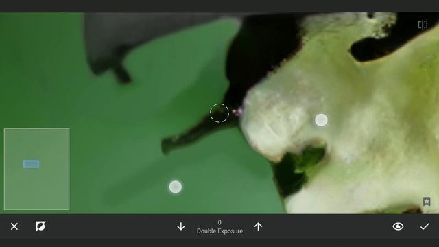 Create Flawless DYNAMIC BLUR & CHANGE COLORS in Snapseed App | Android | iPhone