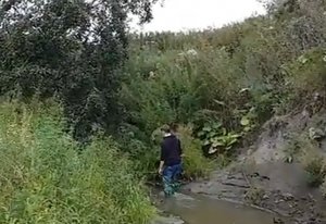 На разведку вдоль по ручью. Прогулка по оврагу.