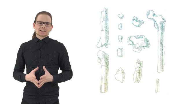 7. Ранние австралопитеки. Происхождение человека - 10 класс