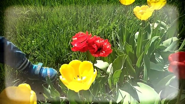 Ботанический сад Алматы. Удивительный лес в сердце Алматы. Достопримечательность Алматы