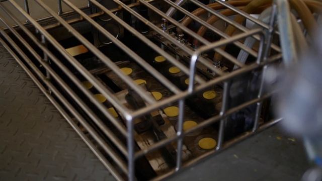 Из жидкого теста получается хрустящее печенье с предсказаниями!
