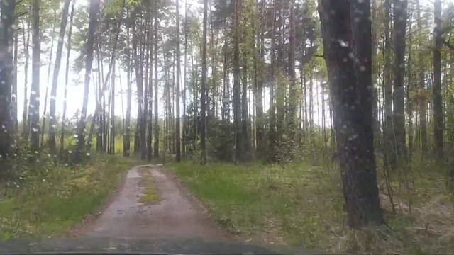 Влог:Орловское полесье??? смотреть онлайн