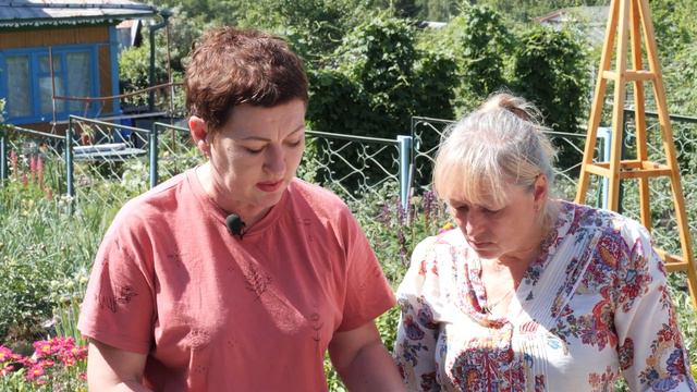 Гортензию правильно черенкуй! И в торфяник суй, суй! // «Все в сад!» 25.07.22