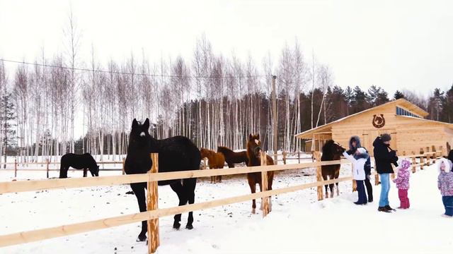 Масленица в Парке Междуречье, конный двор "БлагоДать" смотреть онлайн