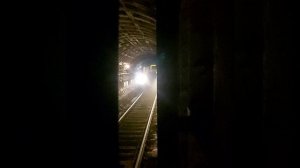 Прибытие метропоезда на станцию Василеостровская, Санкт-Петербург