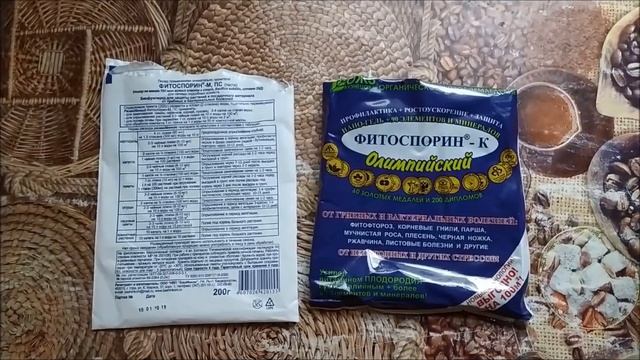 ФИТОСПОРИН!ЛЕЧЕНИЕ  ОГУРЦОВ ОТ МУЧНИСТОЙ РОССЫ!