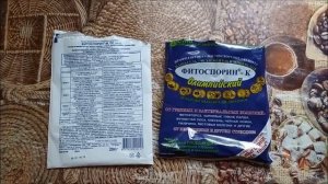 ФИТОСПОРИН!ЛЕЧЕНИЕ  ОГУРЦОВ ОТ МУЧНИСТОЙ РОССЫ!