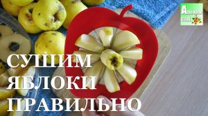 Лучший способ сушки ЯБЛОК!!! Сушим яблоки в квартире