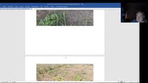 Железов Валерий. Вебинар 193. О прививке персика на войлочную вишню.mp4