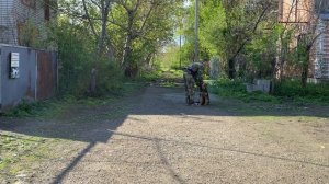 Дрессировка Немецкой овчарки / 3 месяца Берта