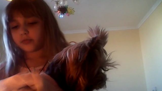 Как лекго собаке сделать платья смотреть онлайн