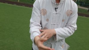 Мастер Ян Цзы об основах Мэйхуачжуан - 梅花桩基本功.