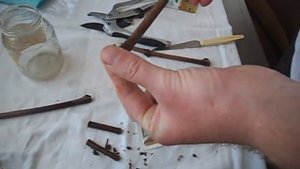 Как прорастить черенки винограда в домашних условиях?
