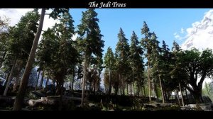 Skyrim SE - Trees Mods: Showcase and Comparison (Updated)