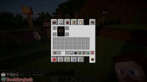 How to Get Custom Player Heads (Minecraft 1.10) [No Mods, Super Easy]