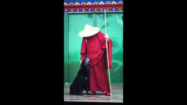 Namo Guru bey (Çoklu) смотреть онлайн