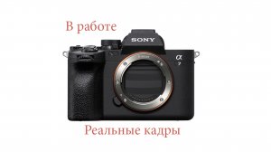 Sony a7 IV реальные кадры со свадьбы. Как снимает камера в реальных условиях съемки на свадьбе.