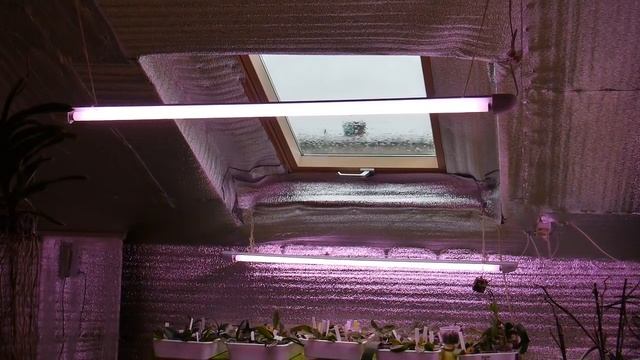 Вода. Немного о увлажнении смотреть онлайн