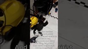 Home sable Yasha домашний Соболь Яша