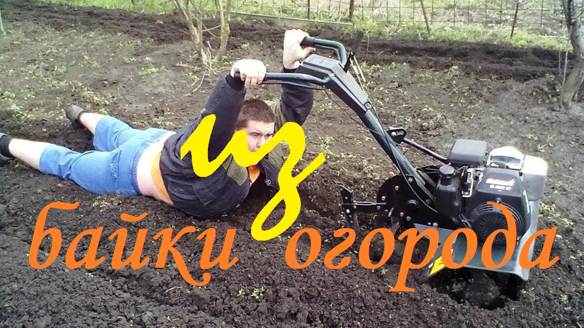 Байки из огорода.Жизнь на природе.А что может быть лучше!2021