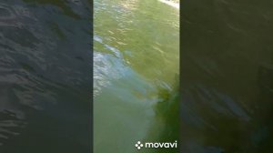 Лодка ПНД Робинзон 400.