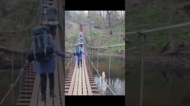 Подвесной мост Большая Валдайская Тропа