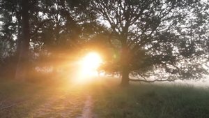 ЖЕНА ИЗМЕНИЛА С СОСЕДОМ ПОКА МУЖ НА РАБОТЕ