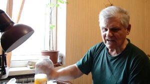 Как выбрать настоящий мёд и отличить от поддельного