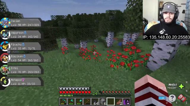 Pixelmon Reforged 1.16.5 Public Server - Live смотреть онлайн