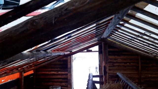 Обзор бюджетного сарая,спустя 7 месяцев эксплуатации