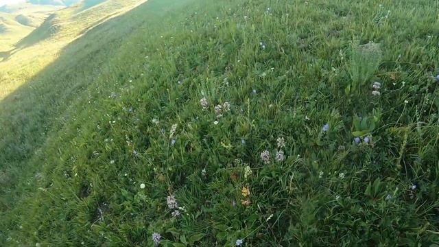 Вторая охота на сурка сезон 2022. смотреть онлайн