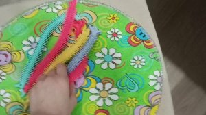 обзор на моих змеек