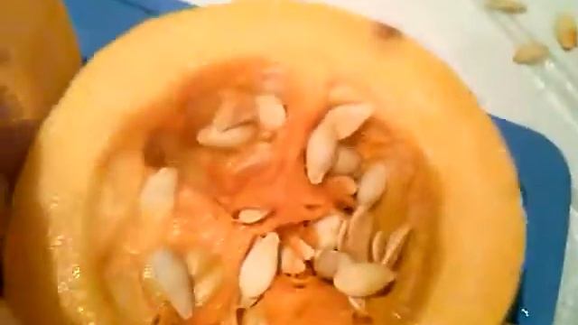 Тыква грушевидная.Тыква грушевидной формы обзор