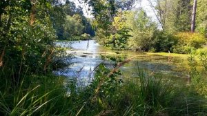 Ольга Гарнова. Ярополец, прогулки по окрестностям