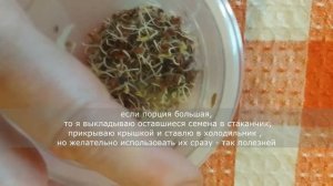 ПП. Зелёный салат с пророщенными семенами льна. Правильное питание. Рецепт канала Vita St.