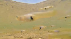 Hundreds of Eastern Mosquitofish (Gambusia Holbrooki) Glen Brook Dam • Western Australia