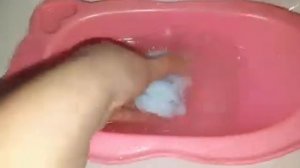 купание сквиши собачек