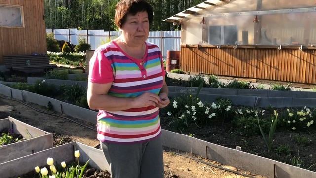 Избавляемся от долгоносика смотреть онлайн