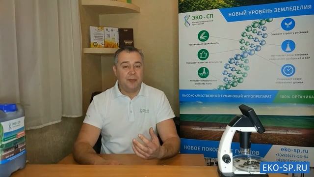 Применение удобрения на основе гумусовых веществ «ЭКО СП» на подсолнечнике