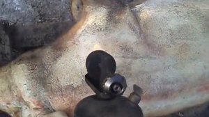 обработка туши свиньи вручную