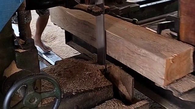INDONESIAN TEAK WOOD, THE MOST EXPENSIVE KING OF JAVA'S FORESTS #sawmill смотреть онлайн