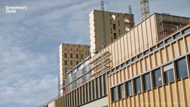Почему нет деревянных небоскребов - проекты и реализация