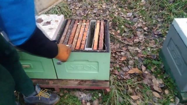 Как зимуют наши основные семьи на точках смотреть онлайн