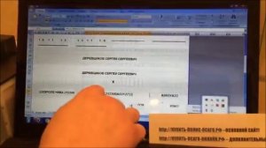 Заполнение и распечатка полиса  бланка ОСАГО на принтере в домашних условиях