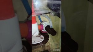 Апгрейд скиммера Royal Exclusiv : Bubble king Double cone 150